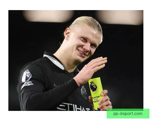 哈兰德力压纪录书单赛季英超进球创新高成历史新标杆